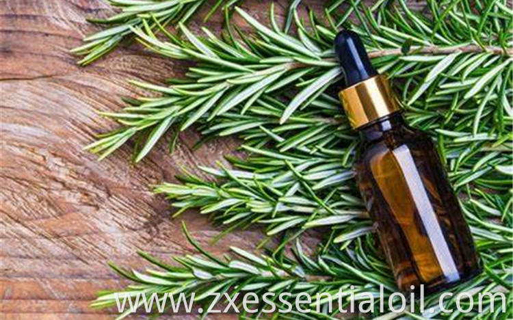 Rosemary Essential Oil 6